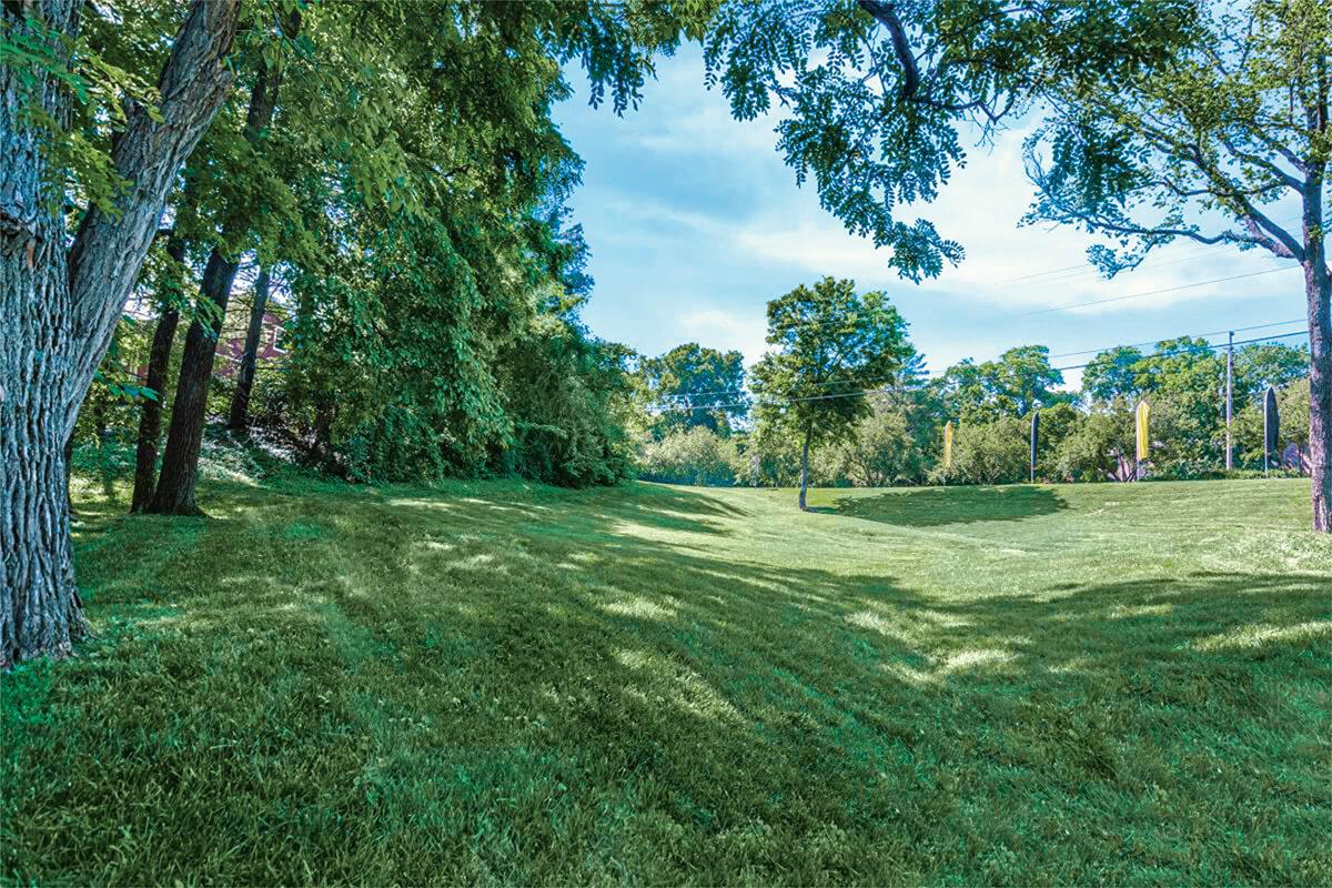 Grounds 12.jpg