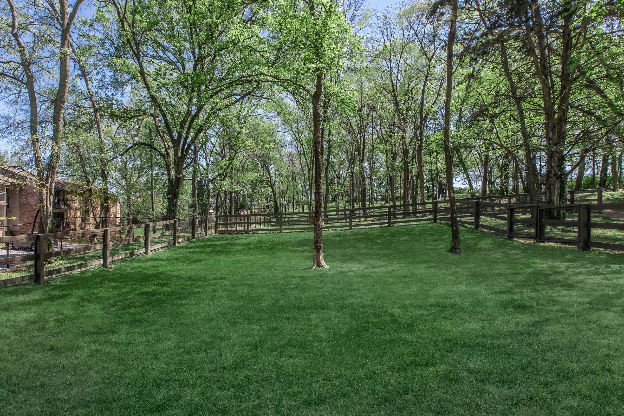 A lush green lawn surrounded by tall trees and wooden fencing. The scene is bright and sunny, with clear blue skies and a serene, natural atmosphere. Ideal for outdoor activities or relaxation, the area showcases well-maintained grass and a peaceful setting.
