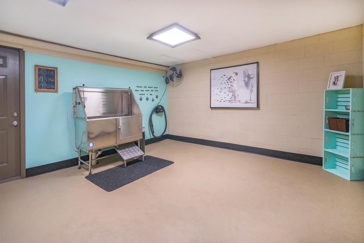 Get Your Pet Washed At Gazebo Apartments