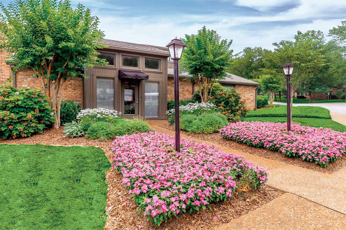 a garden in front of a building