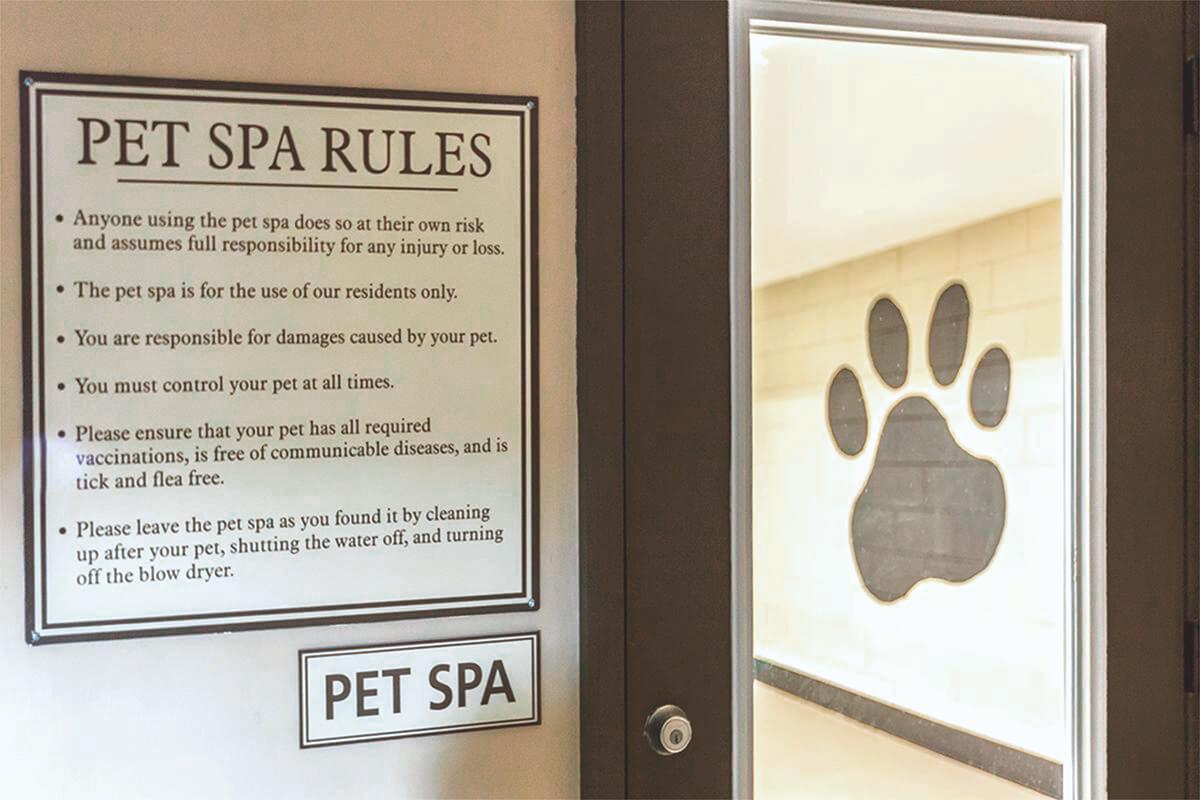 Pet spa rules