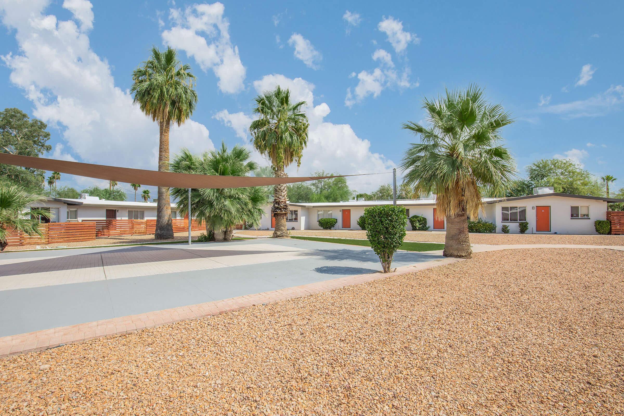 a group of palm trees on a beach