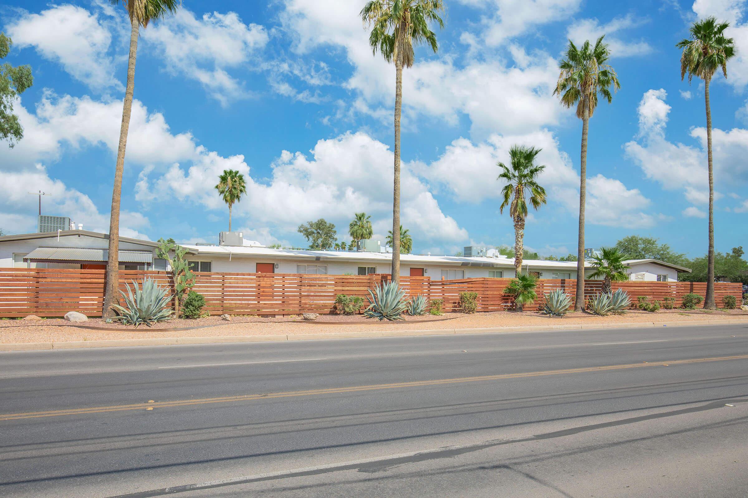 a group of palm trees on the side of a road