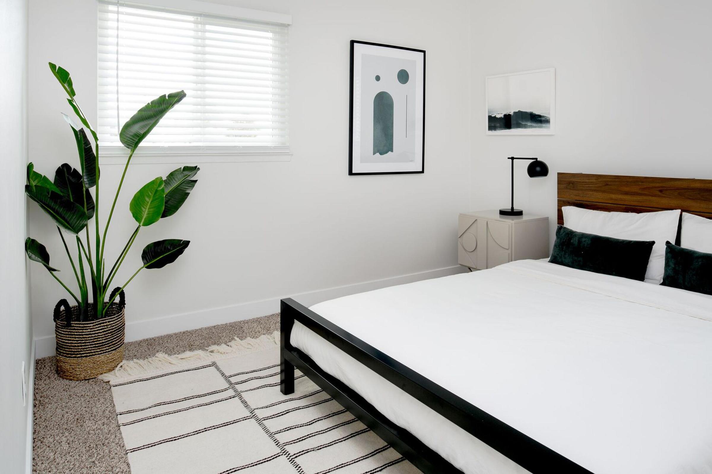 Master bedroom with window and blinds