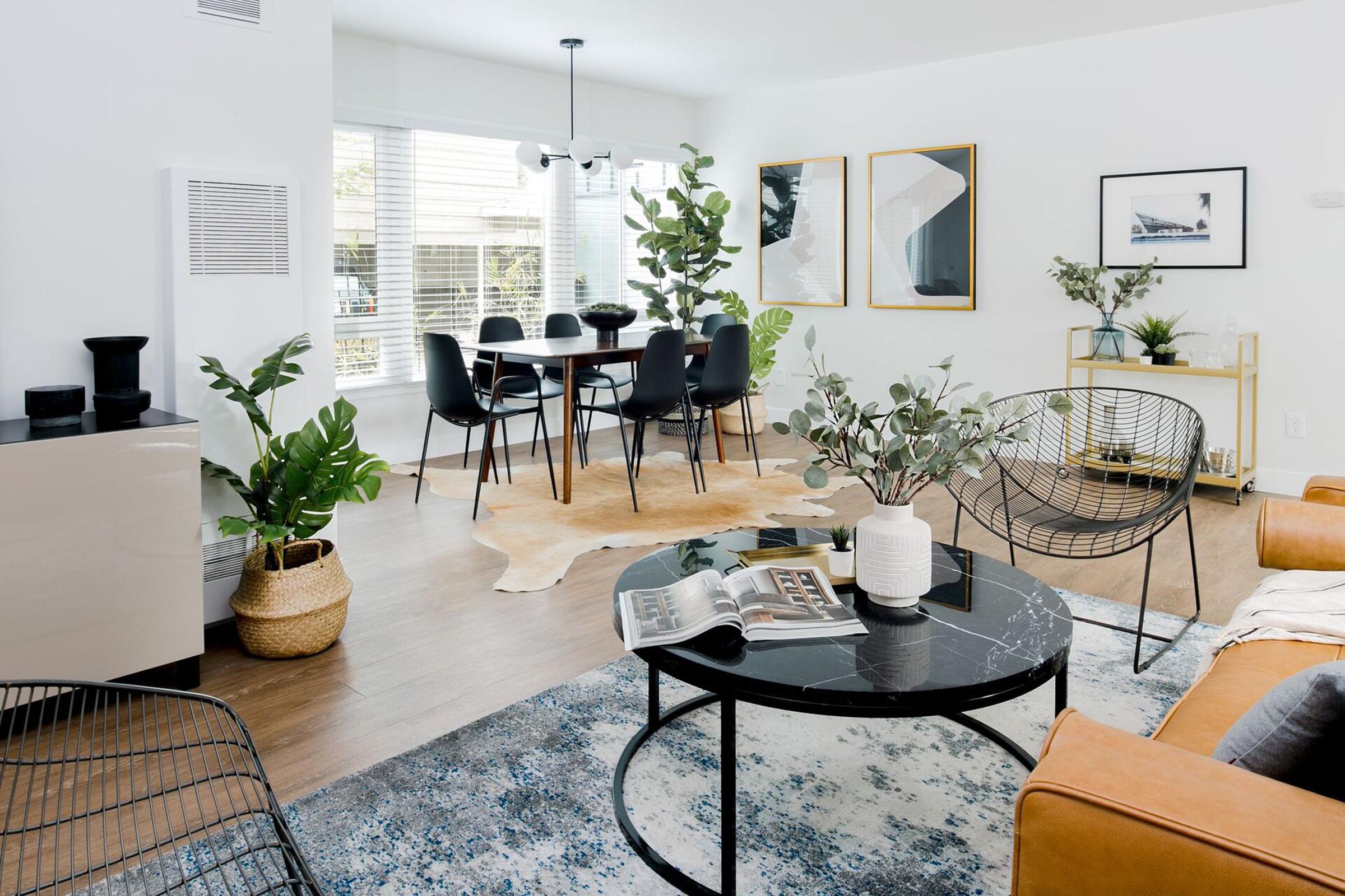 Open concept living and dining area with sleek furniture and indoor plants