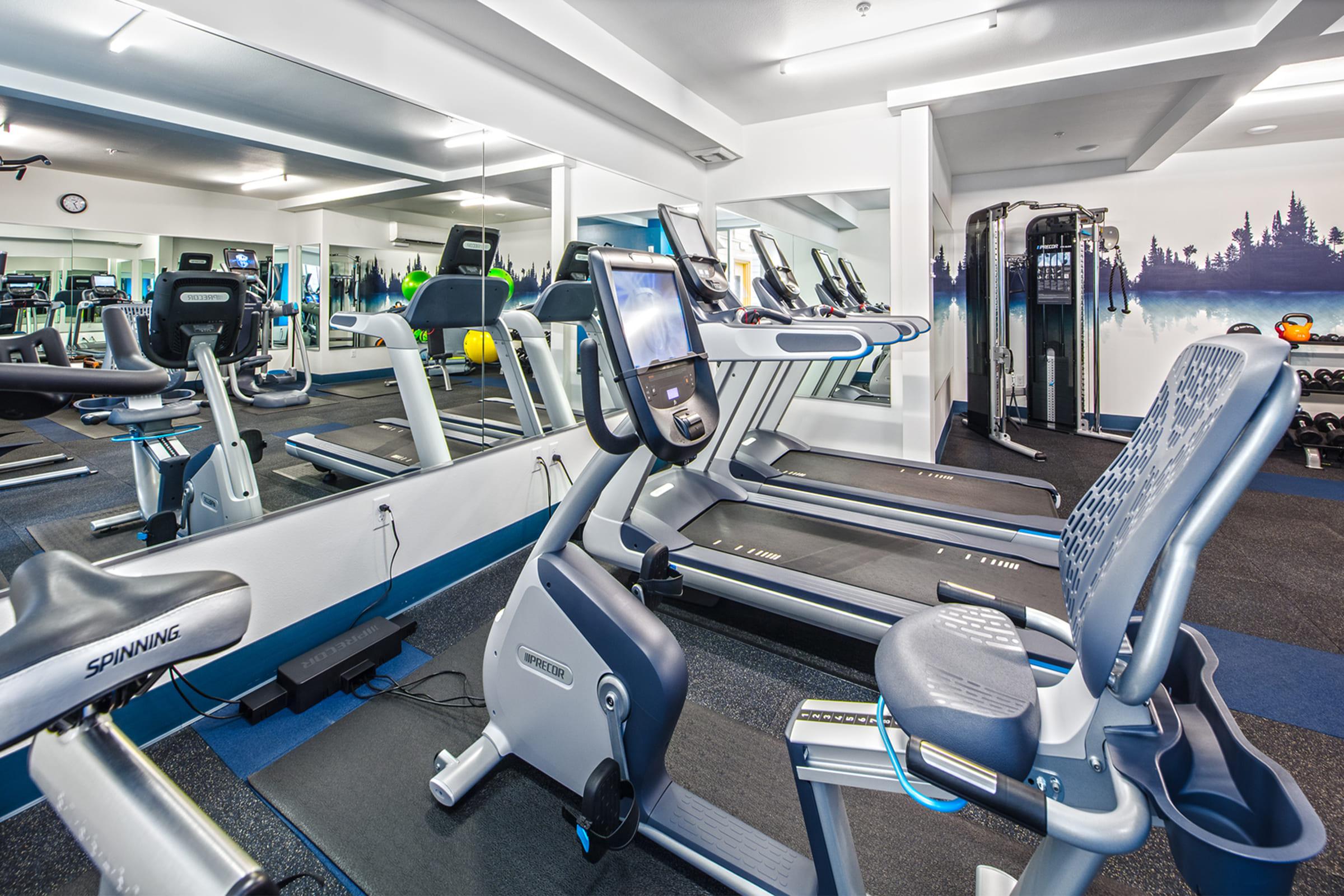 A modern gym interior featuring multiple exercise machines, including treadmills and a spinning bike, with mirrors reflecting the space. The room has a sleek design with blue accents and a wall mural depicting a natural landscape. Weights and fitness equipment are organized in the background.
