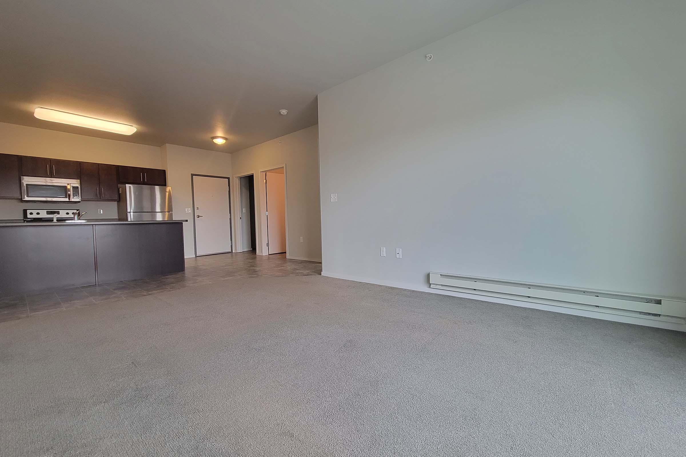 Spacious interior of an apartment featuring a carpeted living area, a kitchenette with stainless steel appliances, and a door leading to a hallway. The walls are painted light gray, and there is a ceiling light that provides illumination.