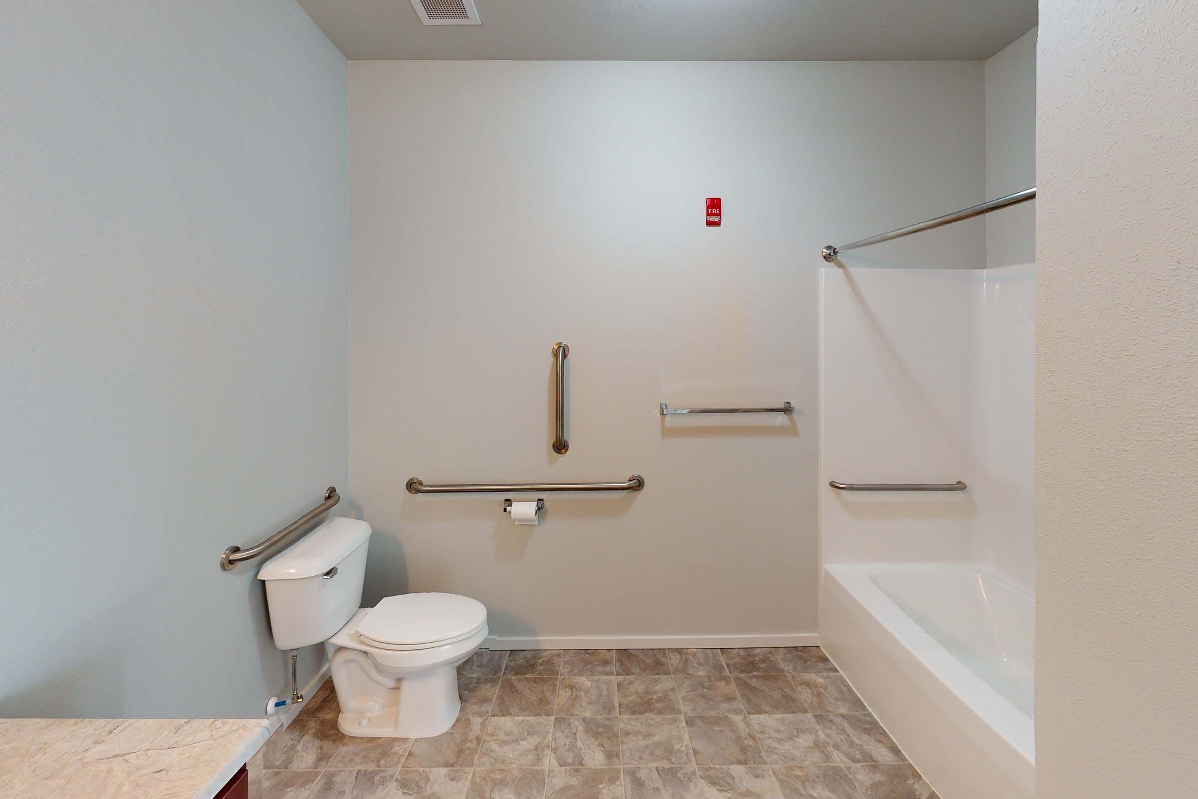 A bathroom featuring a white bathtub with a shower, a toilet, and grab bars for accessibility. The walls are painted light gray, and the floor is tiled in a muted pattern. A roll paper holder is visible beside the toilet, and there are no additional fixtures or decor in the space.