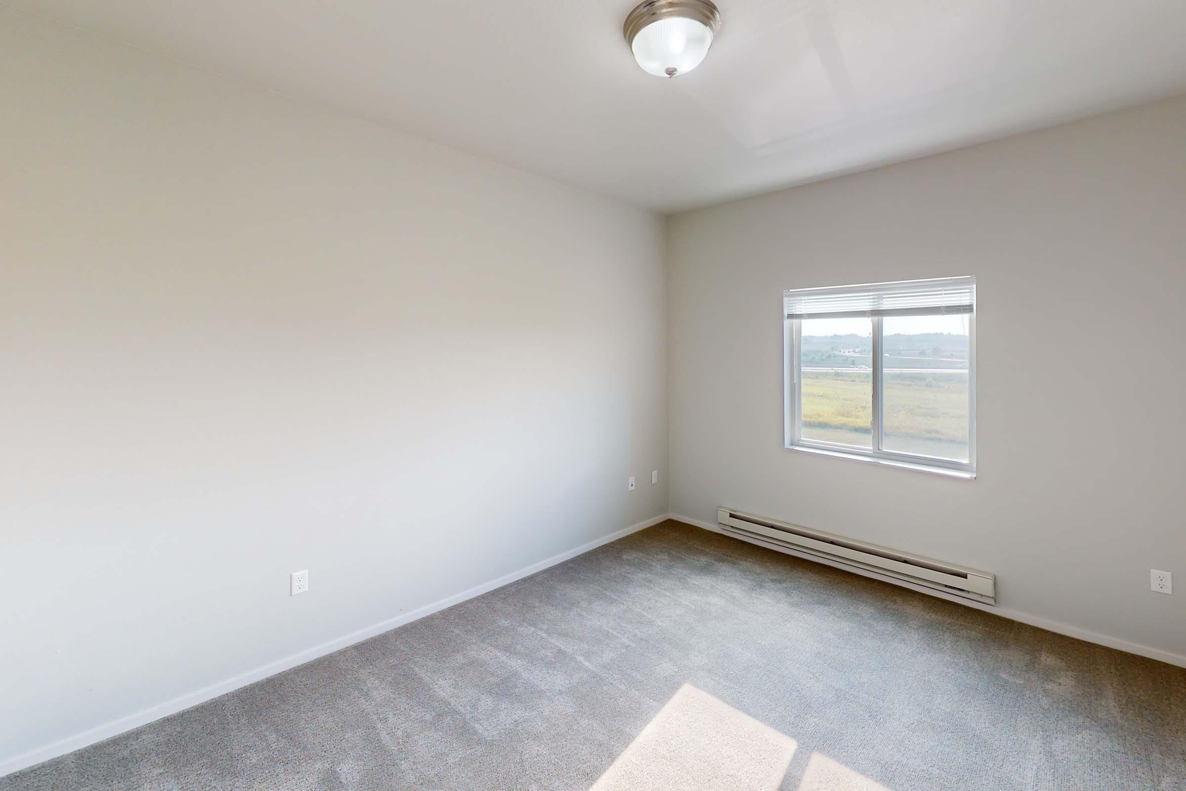 A spacious, empty room with light gray walls and carpet. A single window provides natural light, revealing a view of open fields outside. The ceiling features a simple light fixture, and there are no furniture or decorations present, emphasizing the room's blank slate appearance.