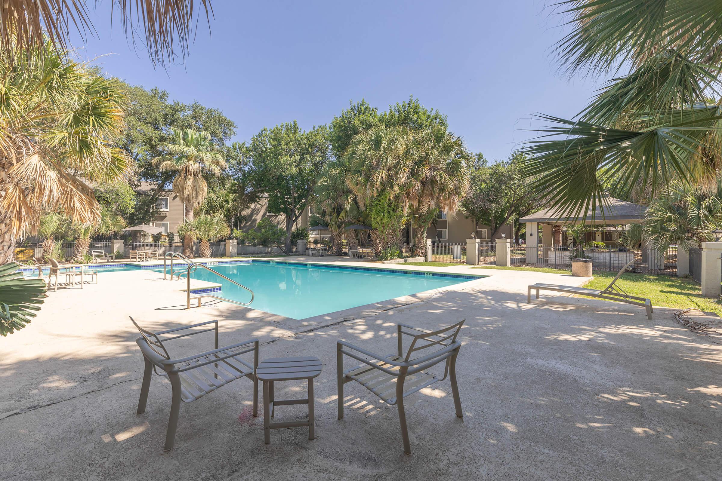 a pool next to a palm tree