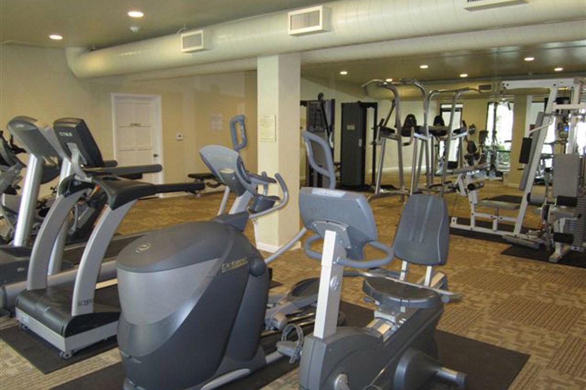Crystal Tree has a newly remodeled fitness center