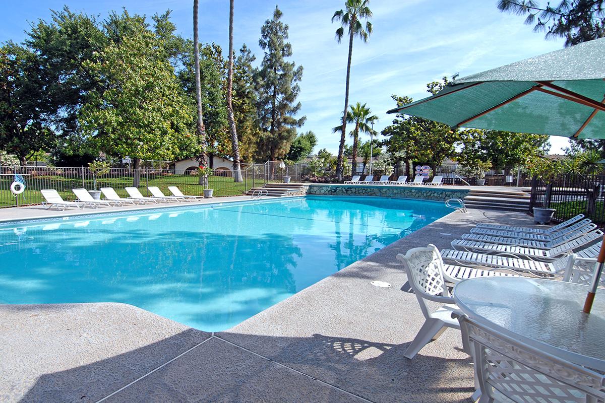 Soak in the sun at our olympic size swimming pool