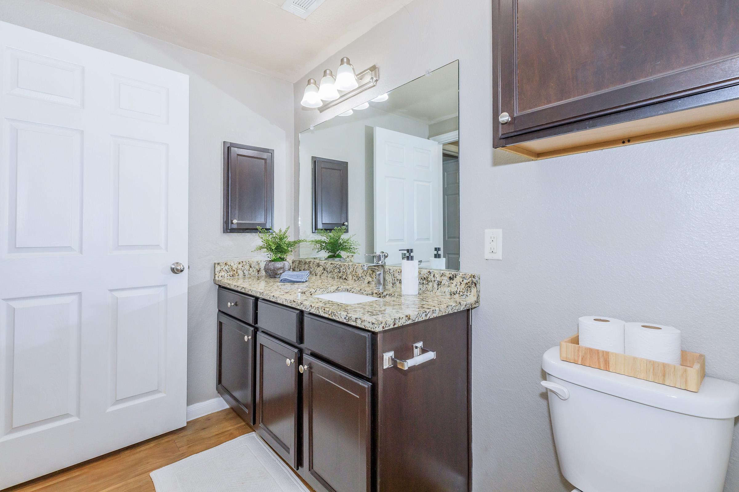 A modern bathroom featuring a double sink vanity with a granite countertop, two dark wood cabinets, a large mirror, and a potted plant. A white door is visible in the background, along with a toilet that has a wooden storage rack holding toilet paper. The walls are painted a light grey.