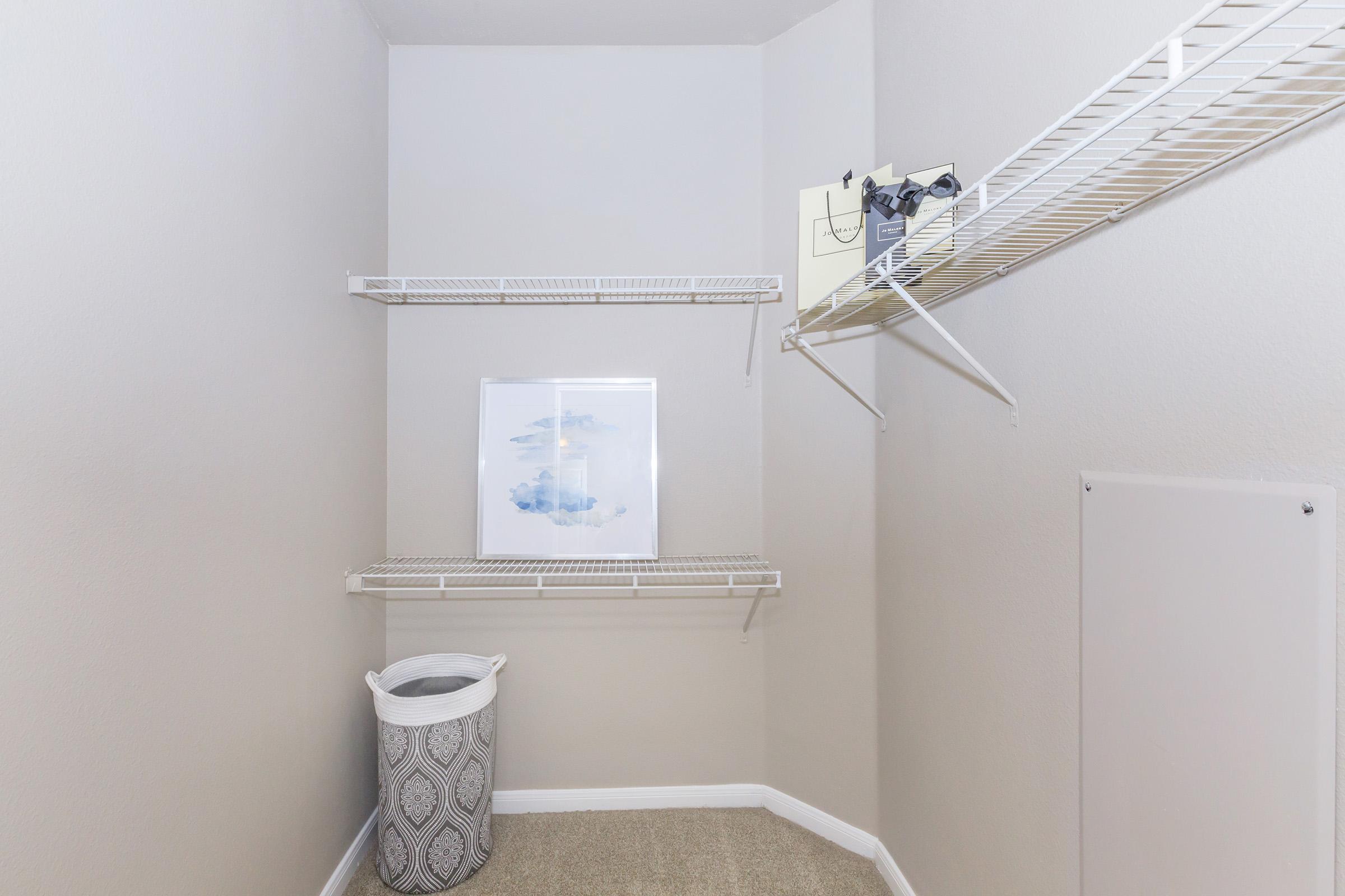 A small, empty closet with light gray walls. It features two wire shelves on the left side, a piece of wall art depicting clouds, and a white laundry basket with a geometric pattern on the floor. The space is tidy and well-organized, with a neutral color scheme.