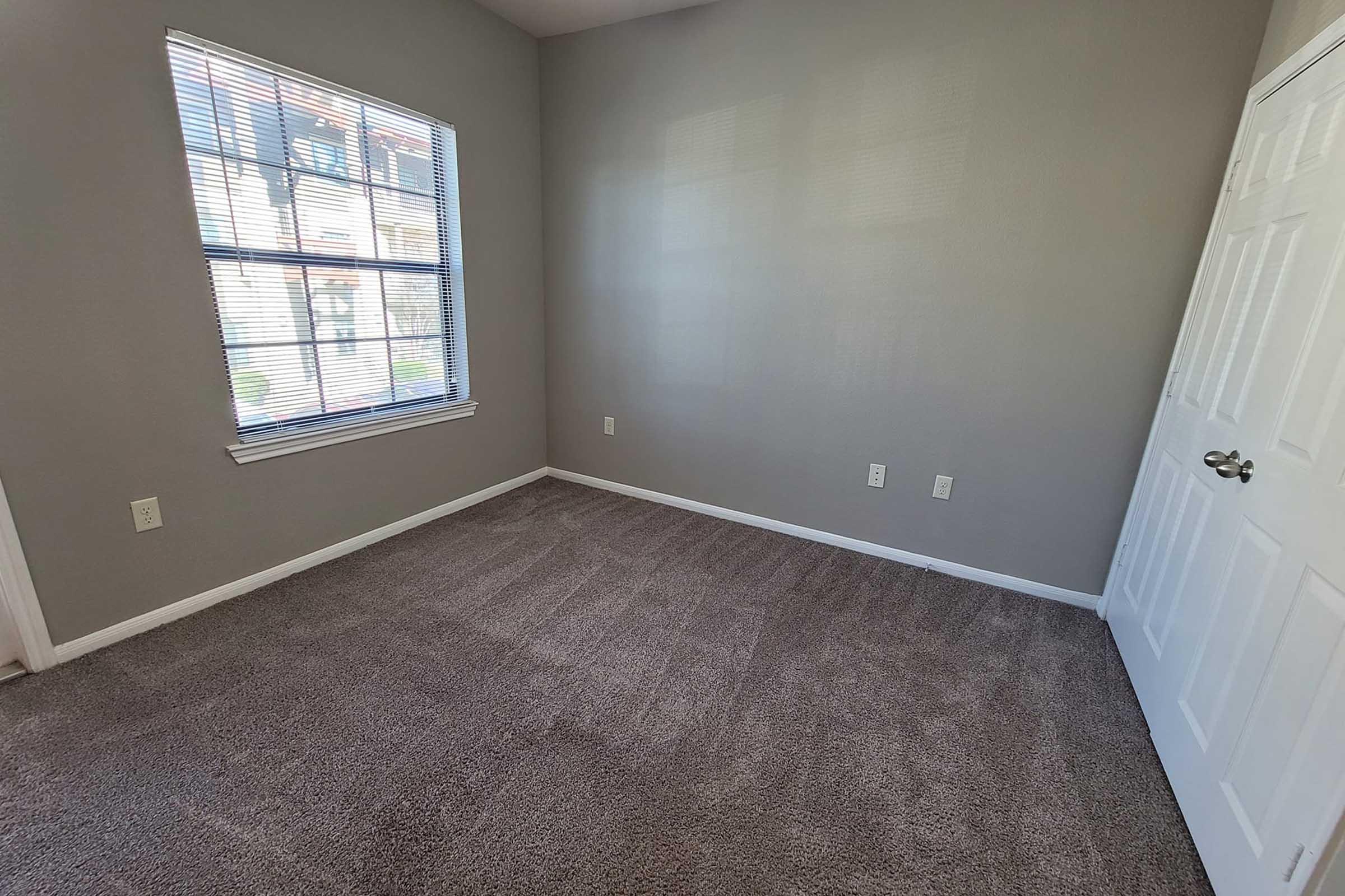 A sparsely furnished room with gray walls, a large window letting in natural light, and beige carpet flooring. There is a white door on the right and no furniture present in the space.