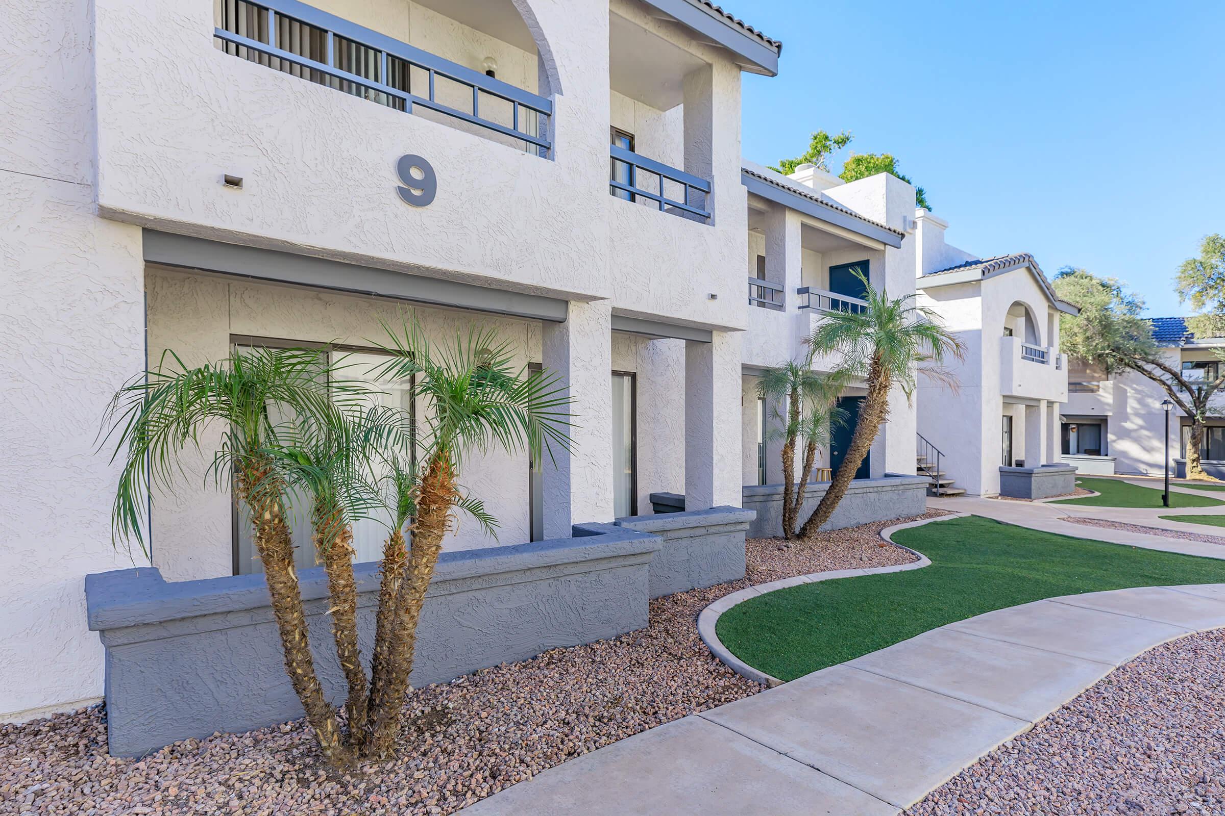 Outdoor walkway with palm trees next to the Rise on Cactus Phoenix, AZ apartments