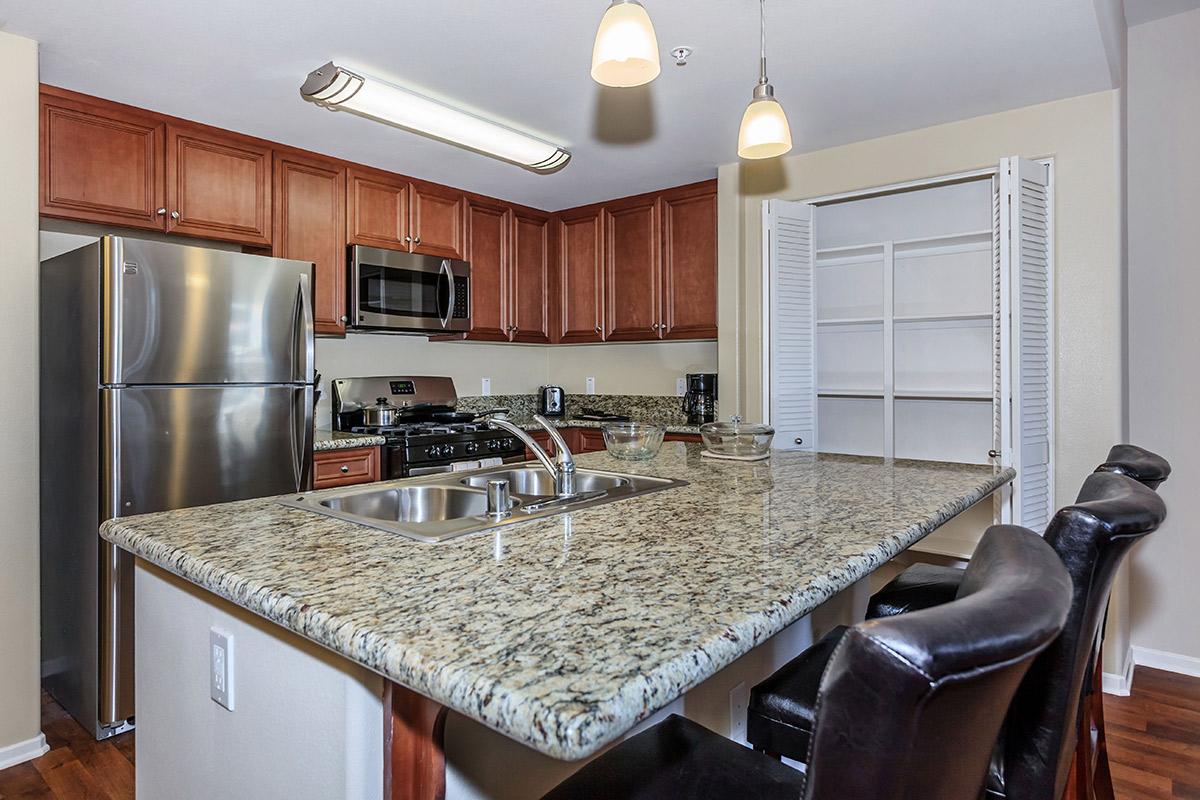 Gorgeous Granite Countertops and Breakfast Bar