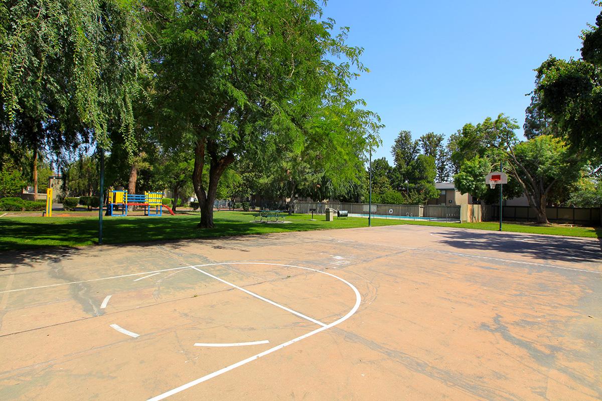 basketball court.