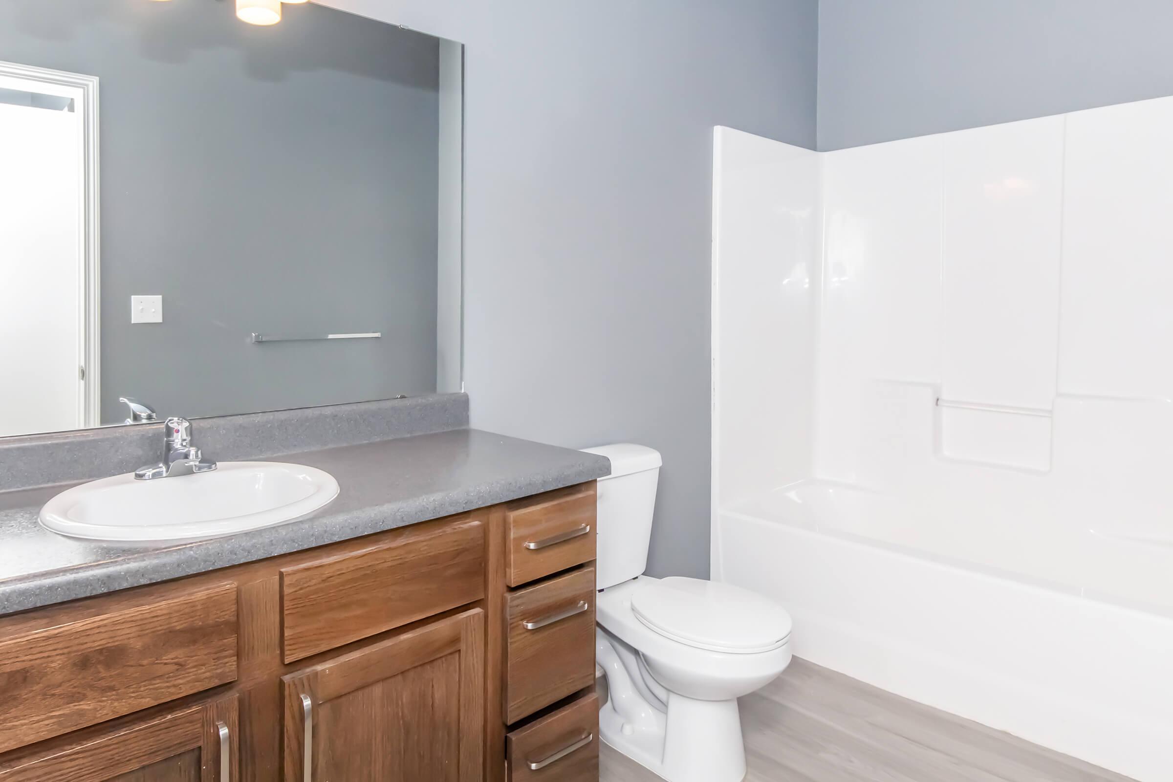 A clean bathroom featuring a gray wall, a large mirror above a sink with a countertop, wooden cabinets, a toilet, and a white bathtub with a shower. The flooring is light-colored, and there is a towel rack on the wall.