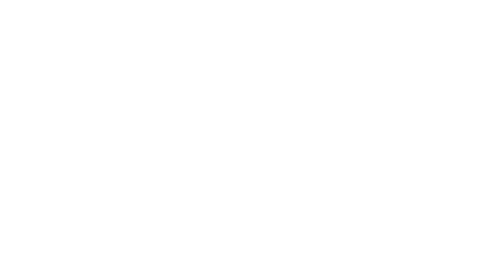 The Falcon ebrochure logo