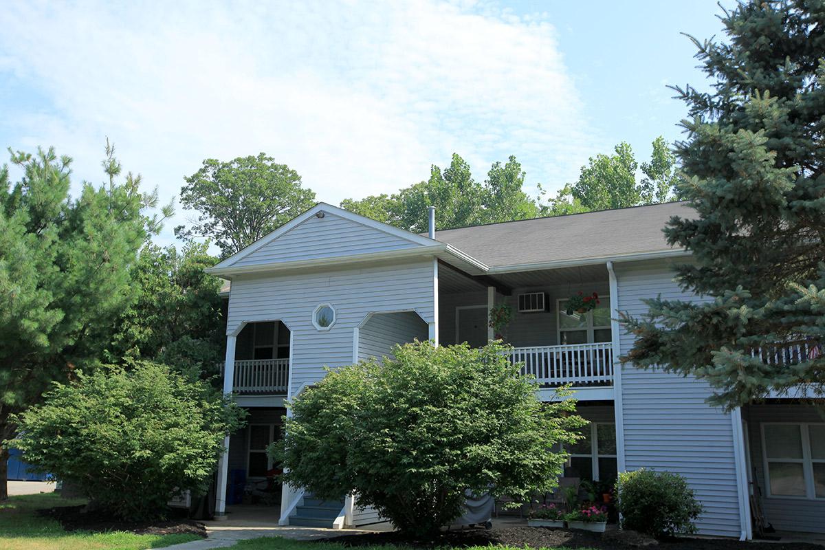 a house with bushes in front of a building