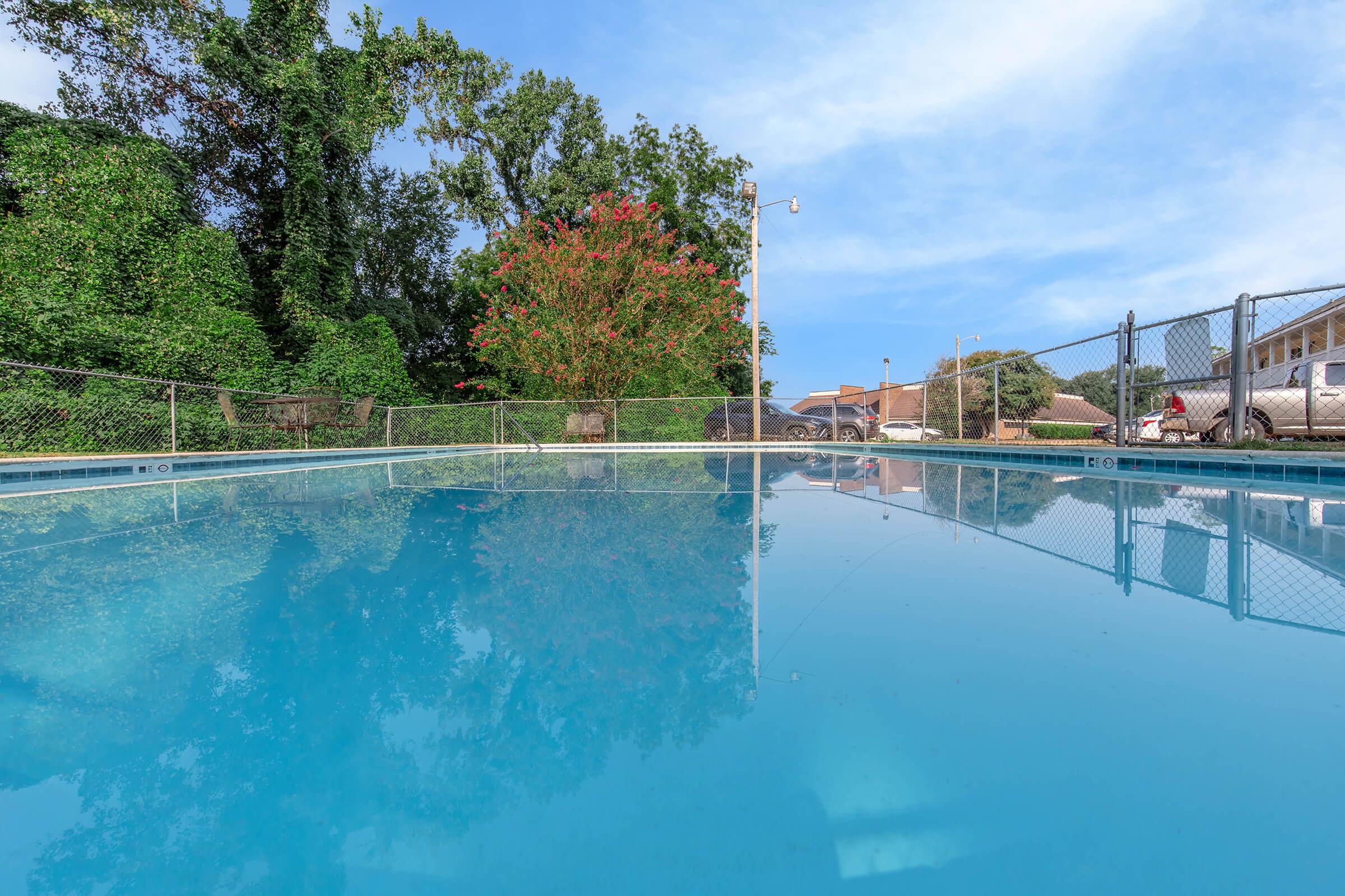 A clear blue swimming pool surrounded by a chain-link fence, with lush green trees and a flowering shrub in the background. The sky is bright with a few clouds, creating a serene outdoor environment.