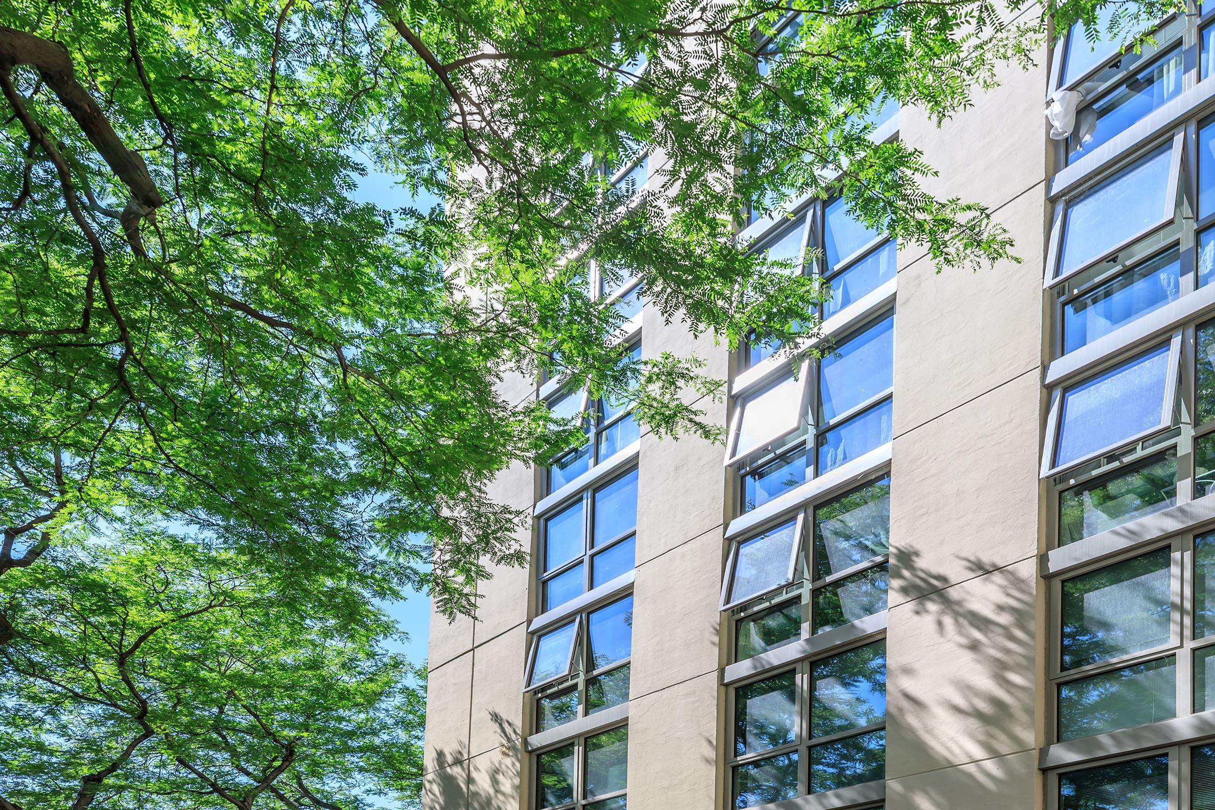 a tree in front of a building