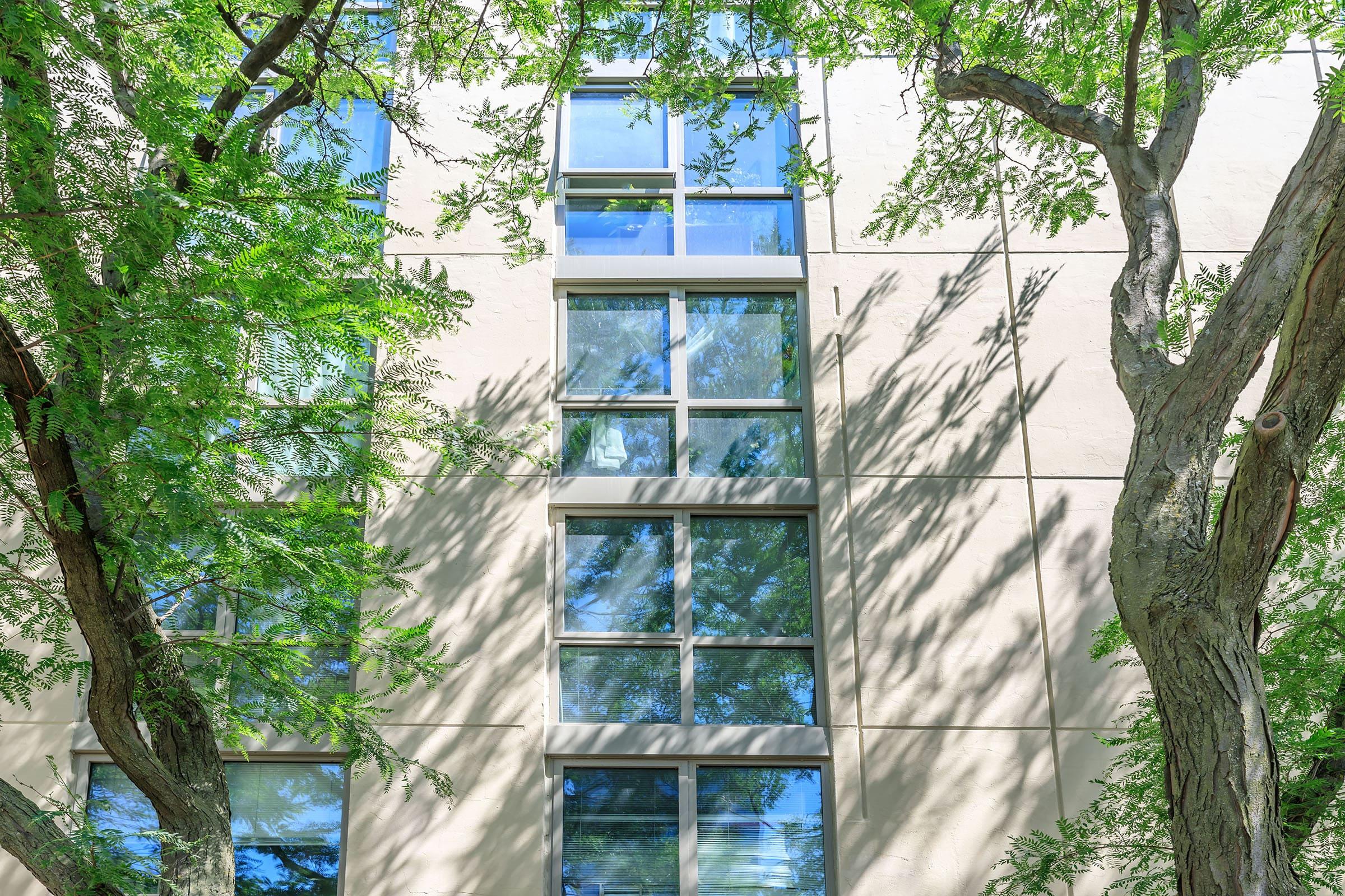 a tree in front of a building