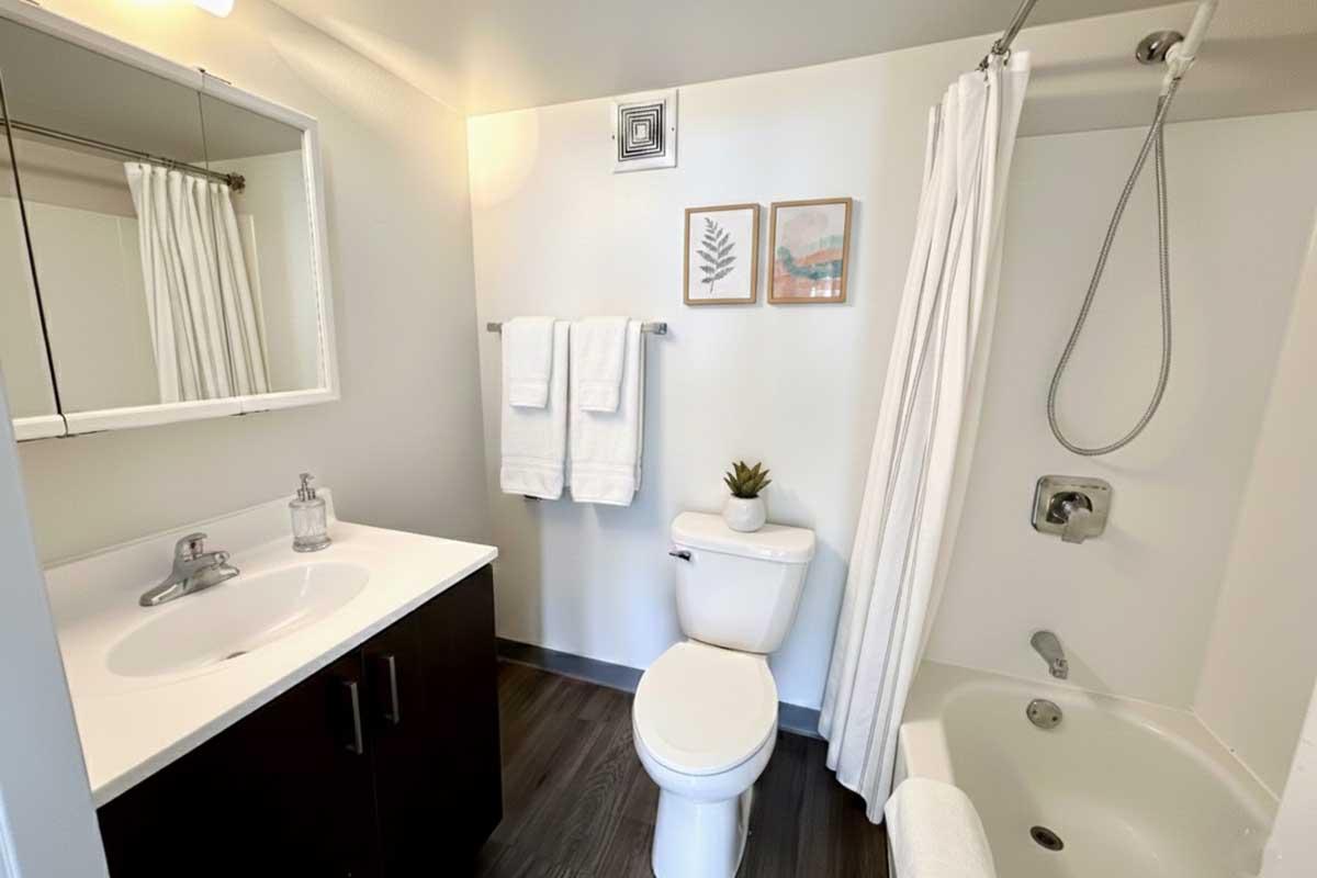 A clean and modern bathroom featuring a white sink with a mirror above, a toilet, a bathtub with a shower, and a potted plant on the counter. Two white towels hang on a rack, and there are framed pictures on the wall. The flooring is dark wood, creating a contemporary look.