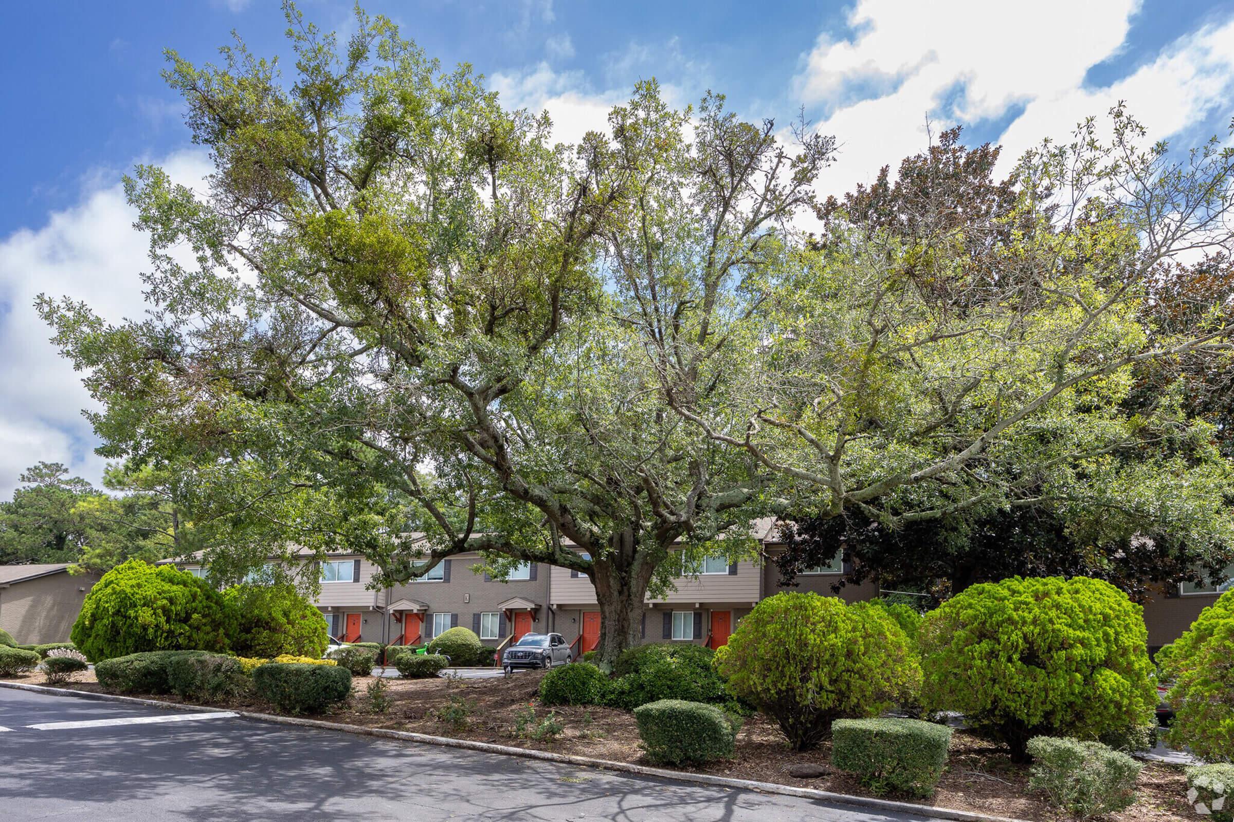 A lush green landscape featuring a large, sprawling tree with a wide canopy, surrounded by well-trimmed shrubs and bushes. In the background, there are several buildings with orange doors, under a partly cloudy blue sky, creating a tranquil and inviting atmosphere.