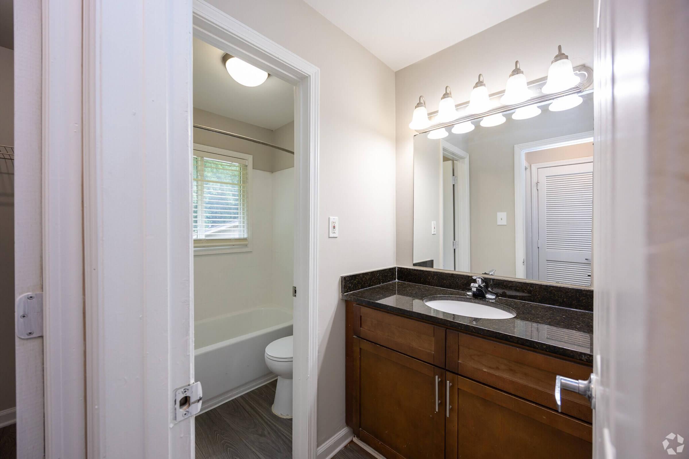 A bathroom interior featuring a sink with a dark countertop, a mirror with lighting above, a separate area with a bathtub and toilet, and light-colored walls. Natural light shines through a window, creating a bright atmosphere. The decor is modern and functional.