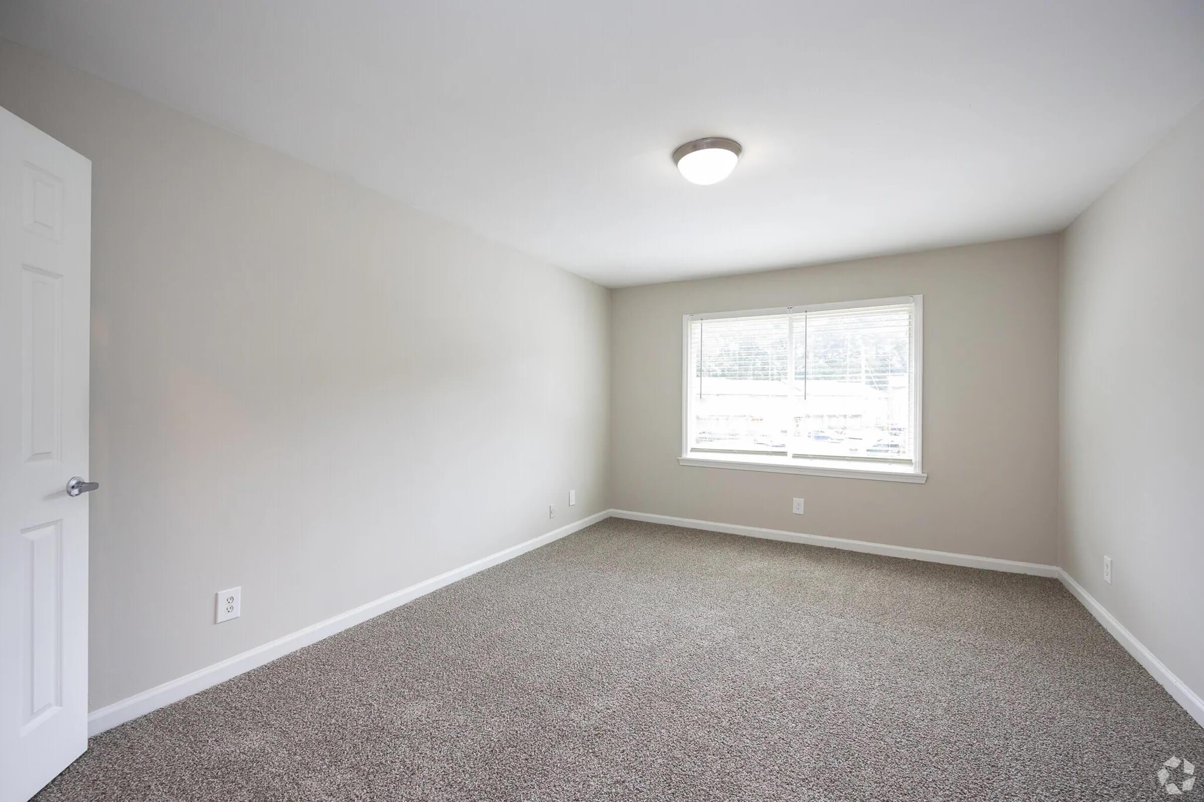 Clean, empty room with light gray walls, a window allowing natural light, and carpeted flooring. A white door is visible on the left side, and the ceiling features a simple light fixture. The overall ambiance is bright and minimalistic, suitable for various uses.