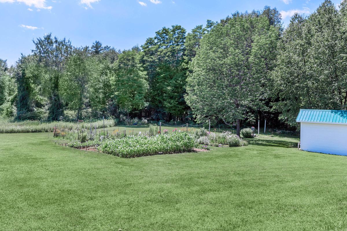 a large green field with trees in the background