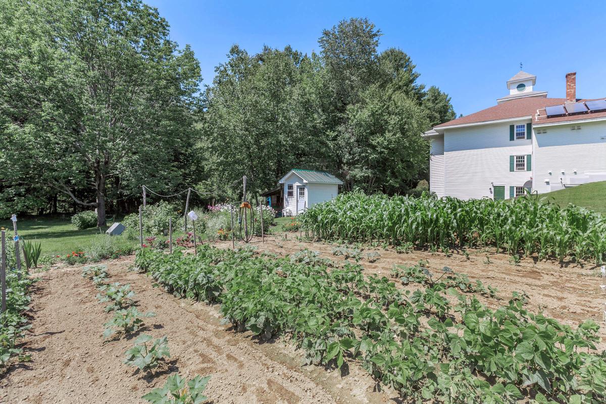 a dirt path in front of a house