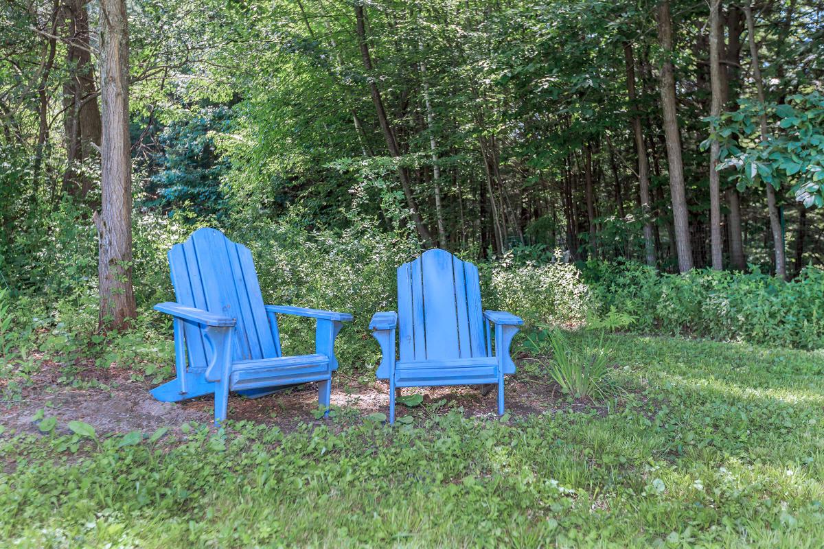 a blue bench sitting in the middle of a park