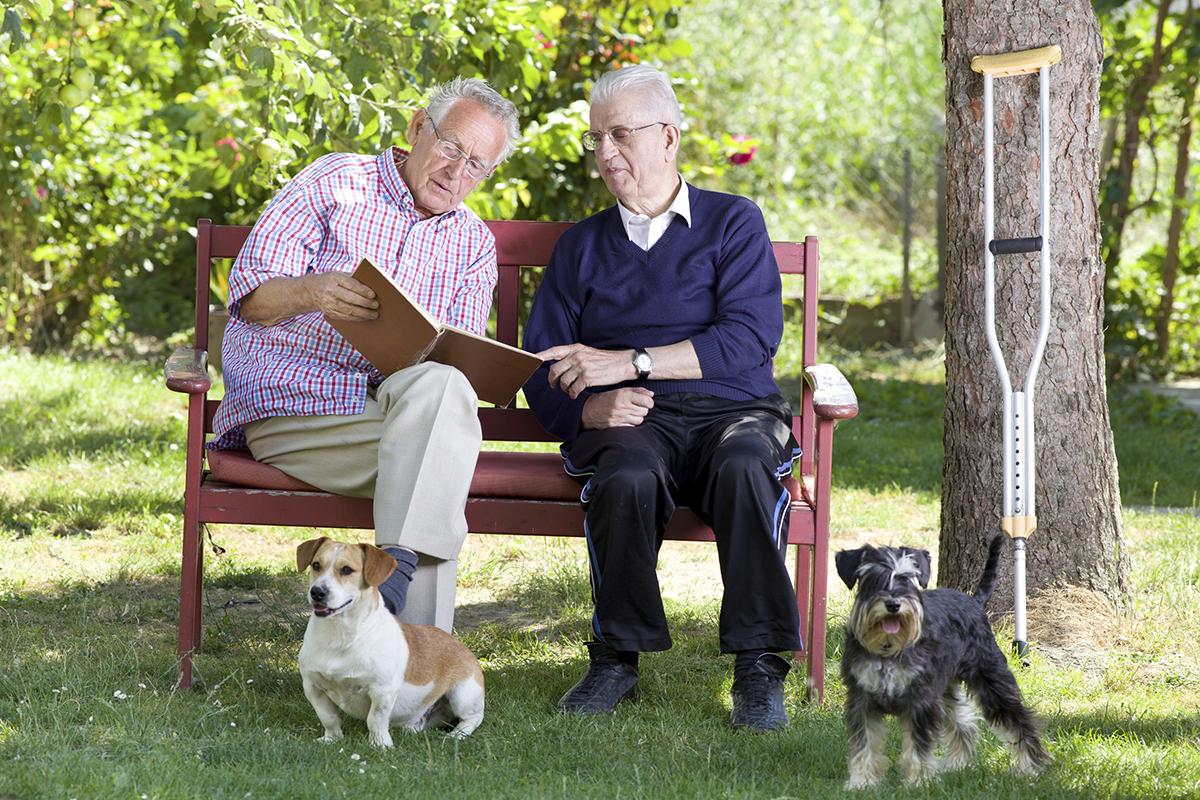 a man and woman sitting on a bench with a dog on a leash