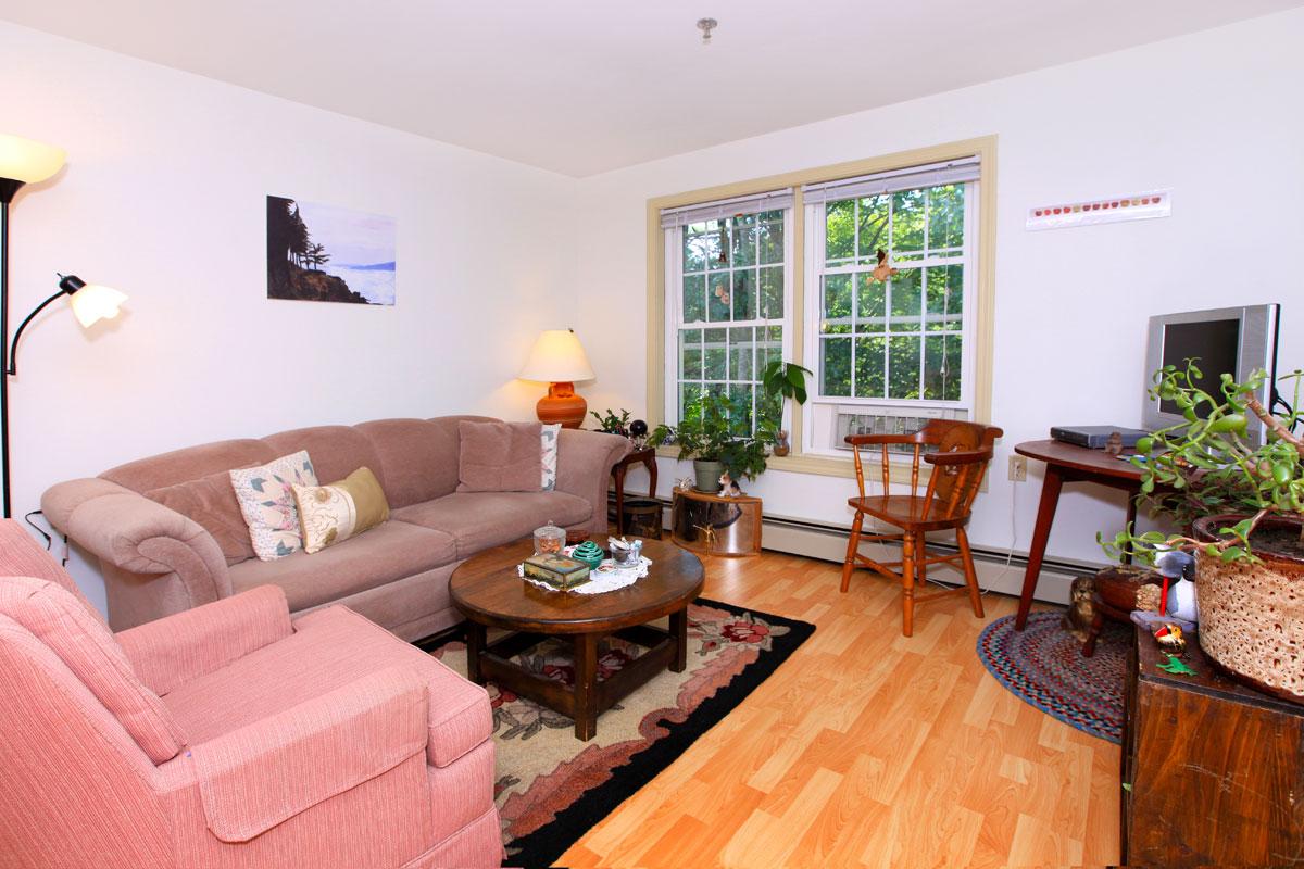 a living room filled with furniture and a fire place