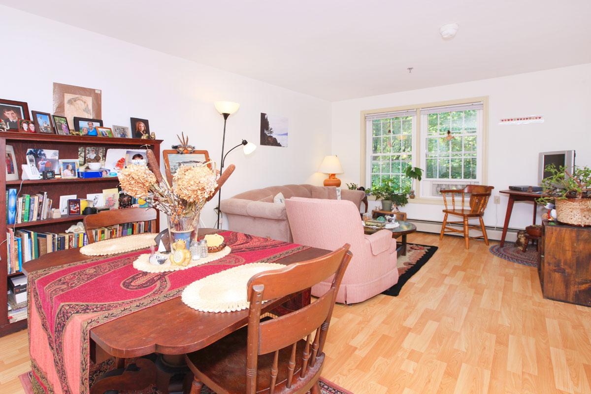 a living room filled with furniture and a red rug