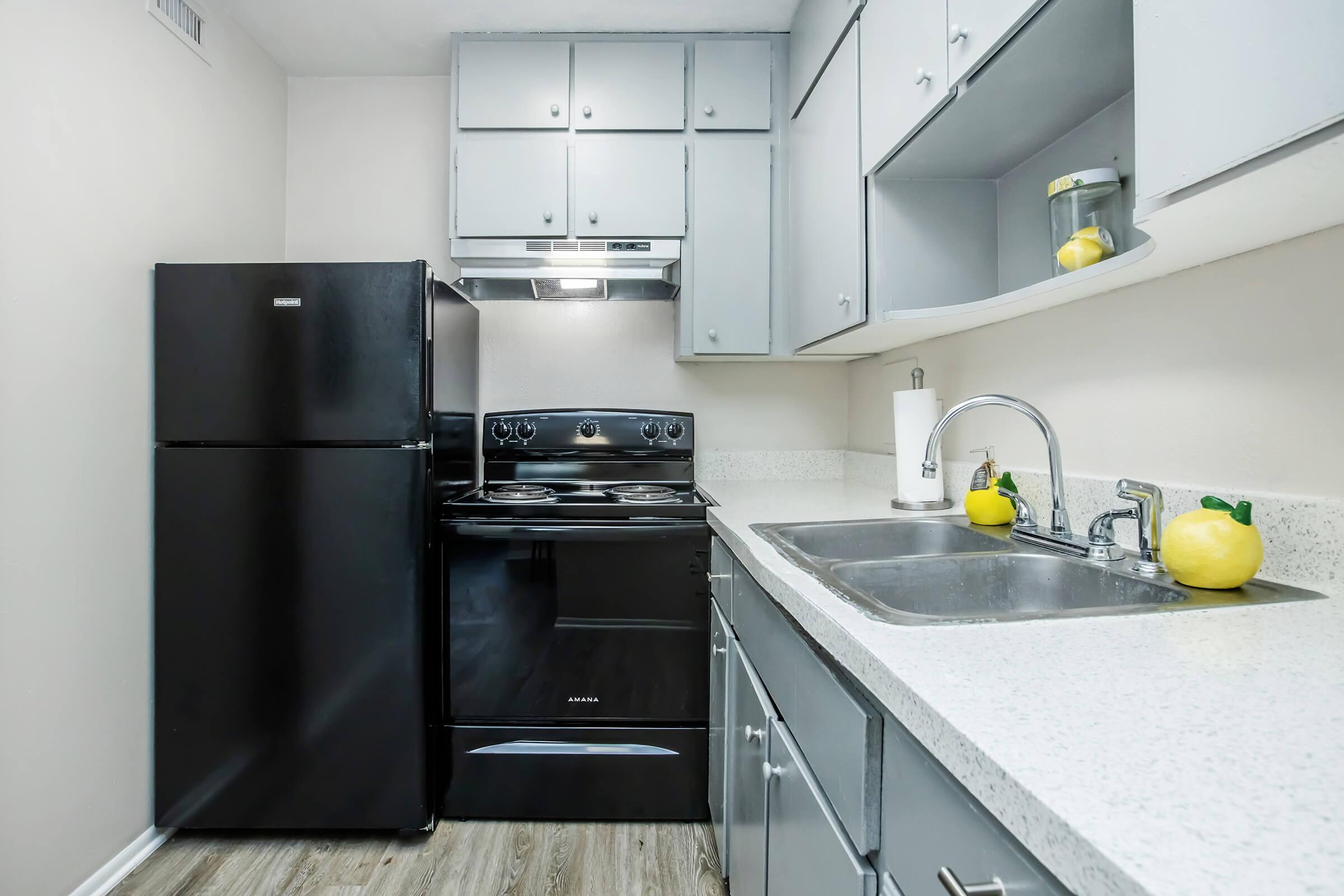 A modern kitchen featuring a black refrigerator and stove, light gray cabinets, and a double sink with a countertop. Decorative lemons are placed near the sink, and the walls are painted in a neutral color. The flooring is a light wood finish, enhancing the contemporary look of the space.