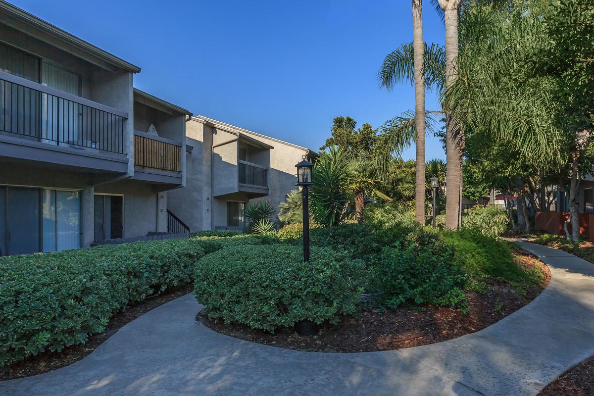 a palm tree in front of a brick building