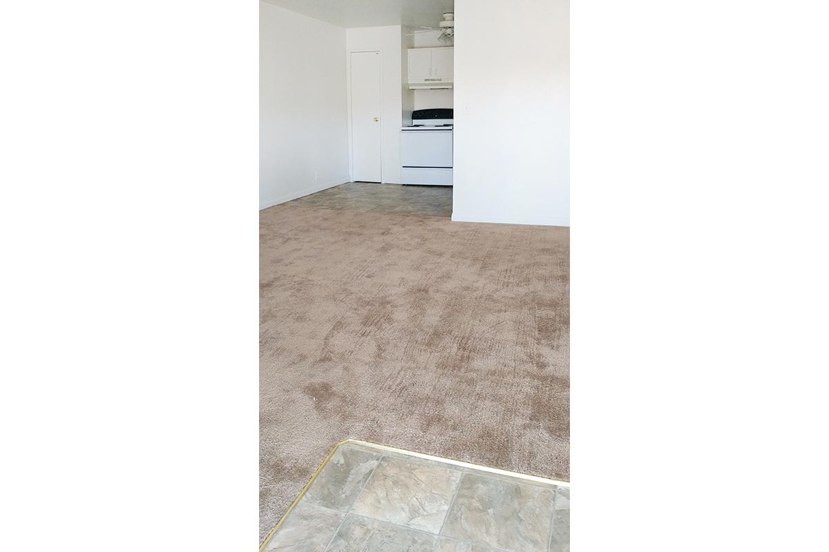 LUSH CARPETING AT WOODHAVEN APARTMENTS IN LAS VEGAS