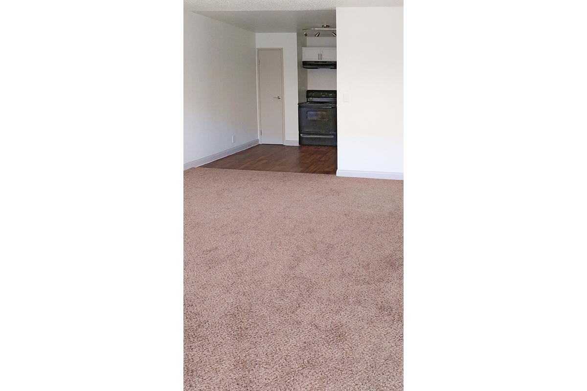 PERFECT LIVING ROOM AT WOODHAVEN APARTMENTS IN LAS VEGAS