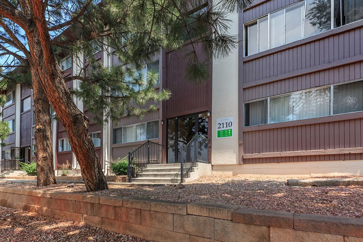 a tree in front of a building