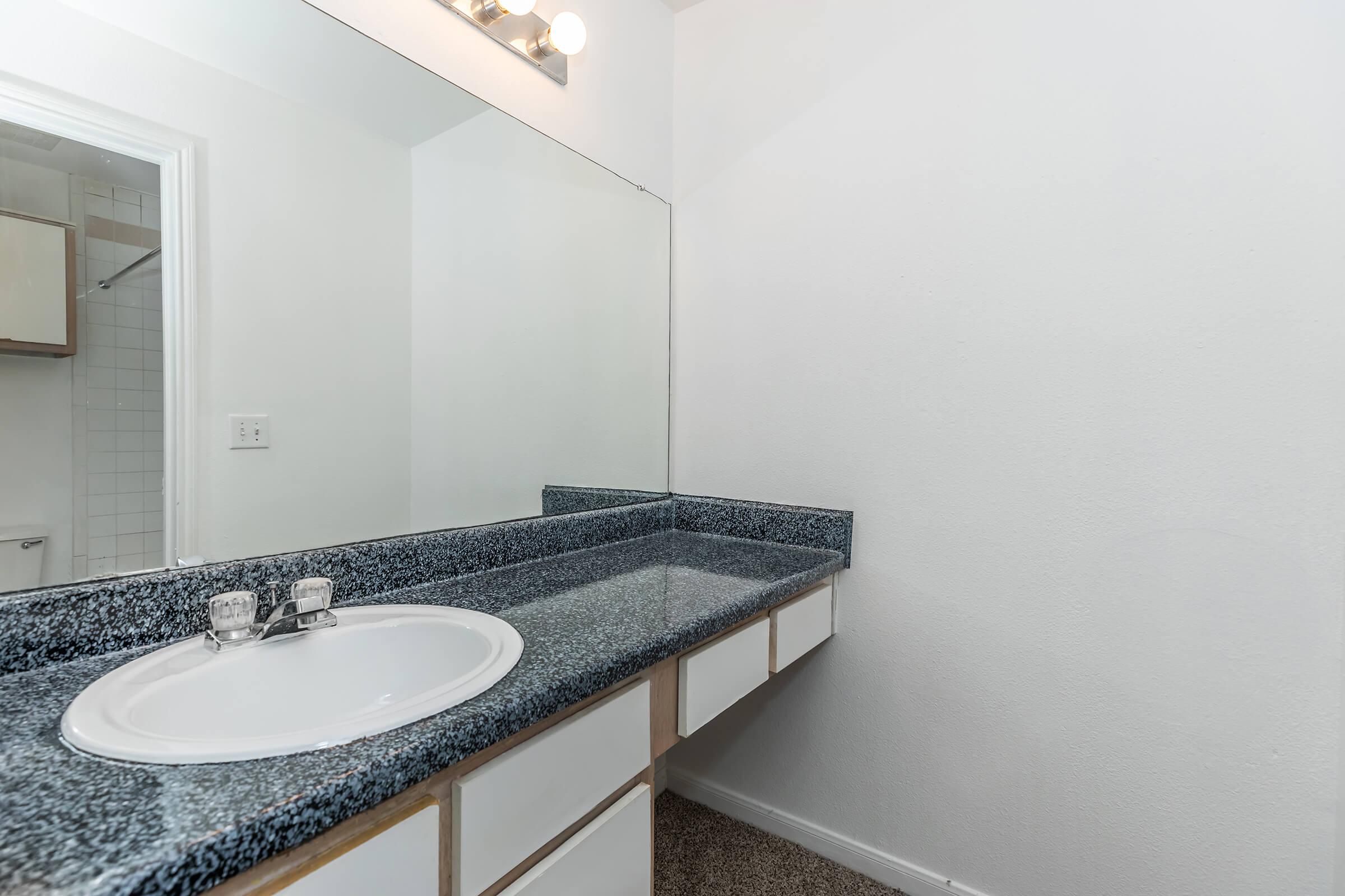 a double sink and large mirror