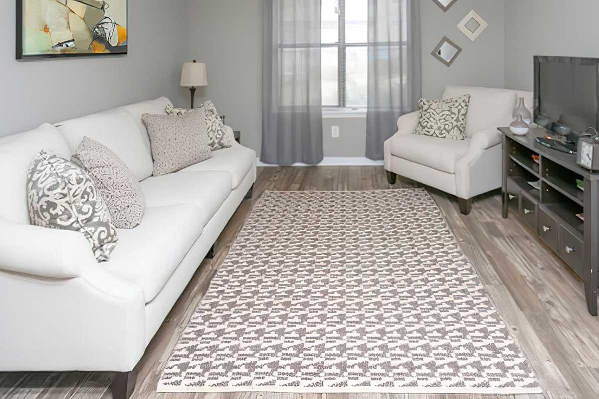 A cozy living room featuring a light-colored sofa and armchair adorned with decorative pillows. There's a patterned area rug on the floor, a sleek TV stand with various items, and a window dressed with sheer curtains that allow natural light to enter. Wall art and mirrored decor complement the modern design.