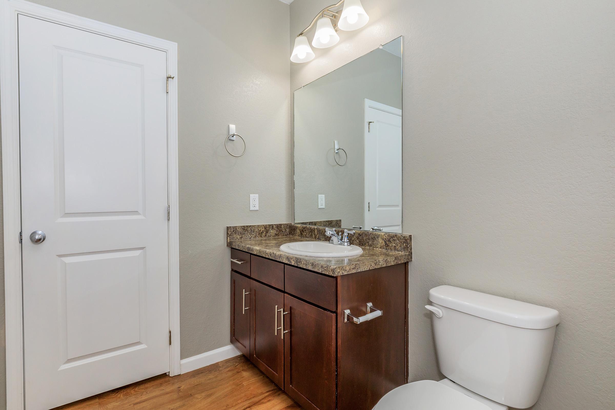 A modern bathroom featuring a granite countertop with a sink, a large mirror above, a toilet, and a towel ring on the wall. The walls are painted in a neutral gray, and the flooring is wooden. A white door leads to another room, adding to the clean and spacious appearance.