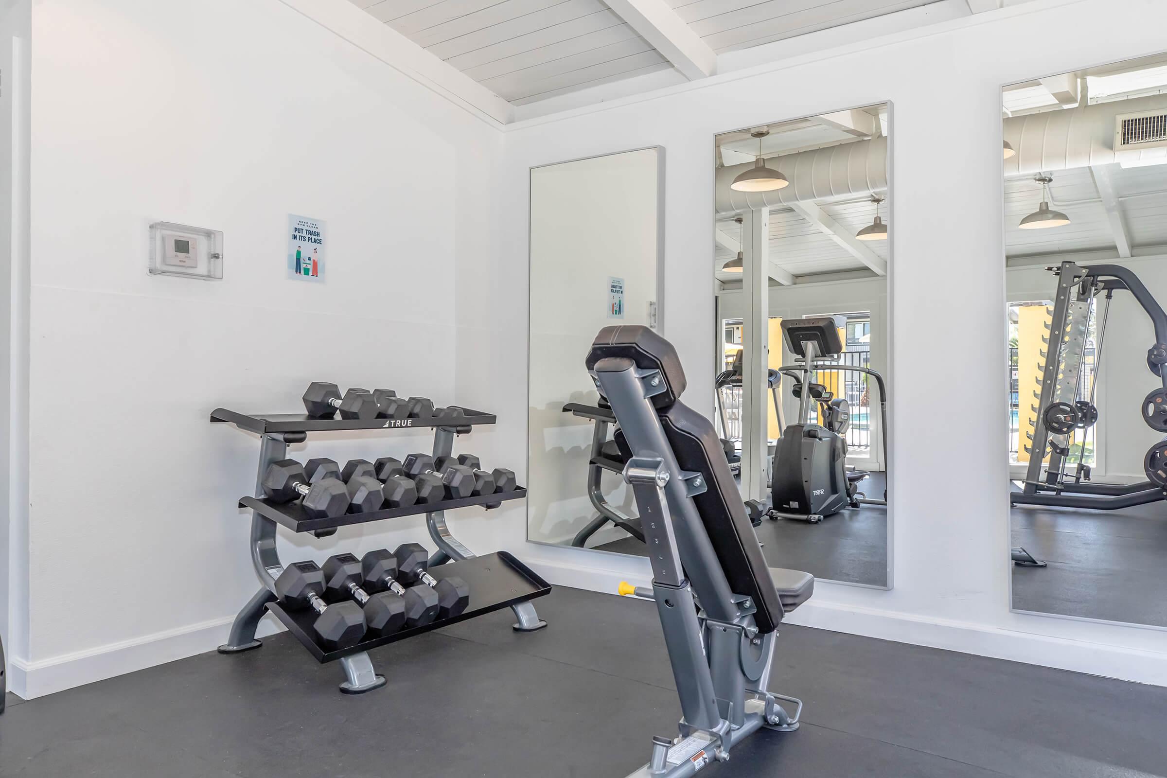 A well-equipped gym space featuring a rack of dumbbells, an adjustable workout bench, and large mirrors on the wall. The room has a clean, modern design with bright lighting, providing an inviting environment for exercise. Fitness equipment is visible in the background, making it ideal for workouts.