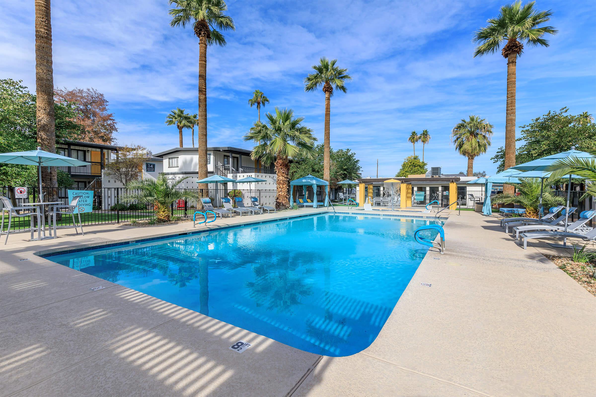 Enjoy the swimming pool at The Wexler.