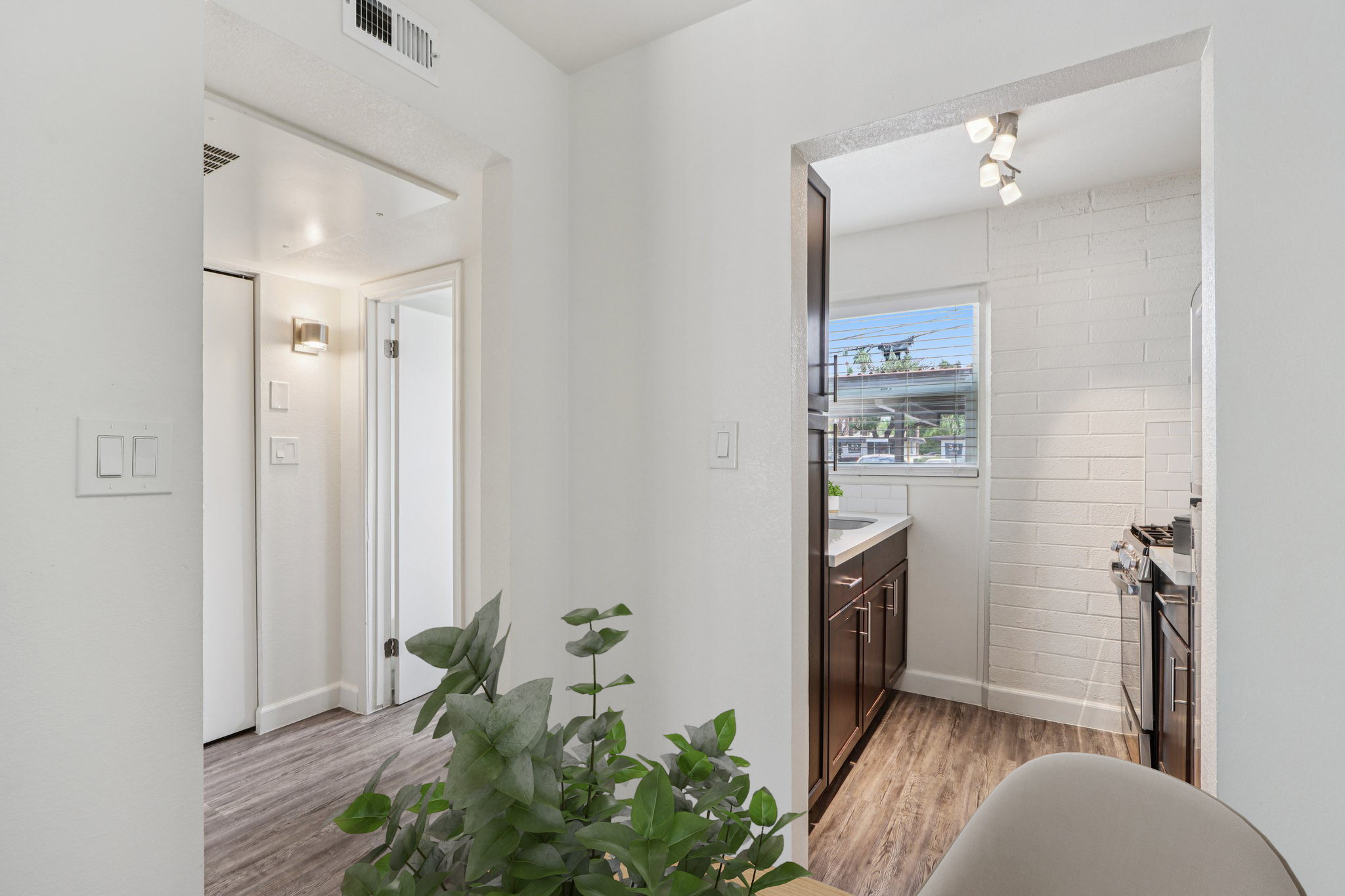 A bright, open living space with a view into a kitchen area featuring modern appliances and cabinetry. The foreground includes a potted plant, while a doorway leads to a hallway with light-colored walls and doors. Natural light streams in through a window, enhancing the inviting atmosphere.