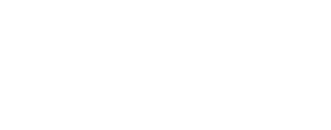 The Wexler ebrochure logo